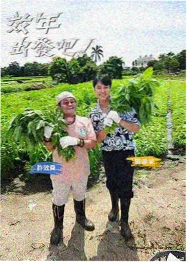 两天一夜 综艺娱乐 韩剧在线观看高清